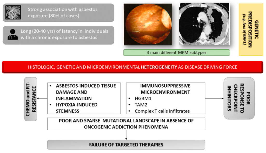 Malignant Pleural Mesothelioma
